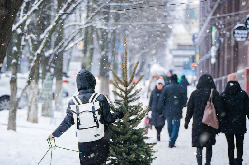 Urban Mindfulness Walk